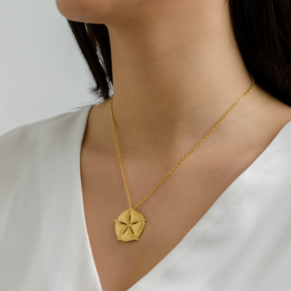 ANTHOS - NECKLACE _ s925 Yellow Gold colour