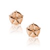 ANTHOS - EARRINGS _ s925 Rose Gold colour