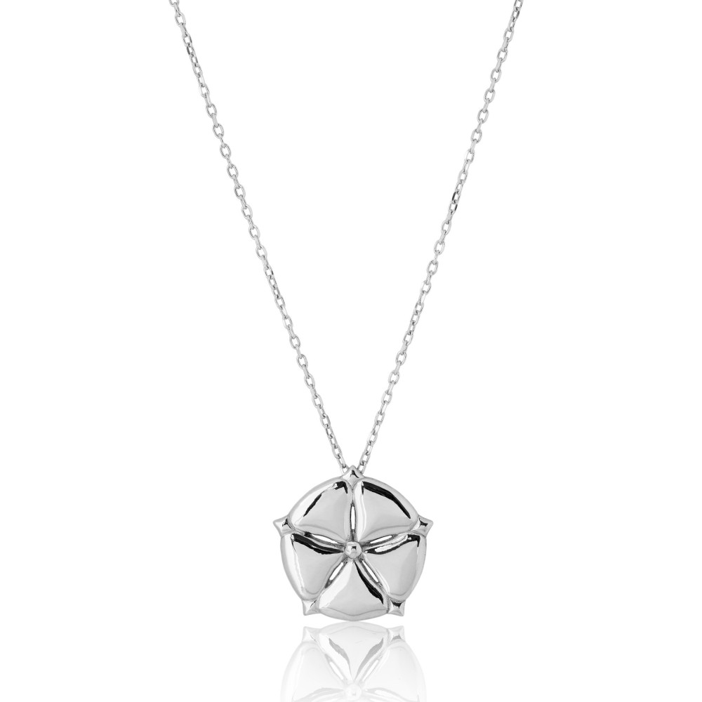 ANTHOS - NECKLACE _ s925 White Gold colour