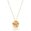 ANTHOS - NECKLACE _ s925 Yellow Gold colour