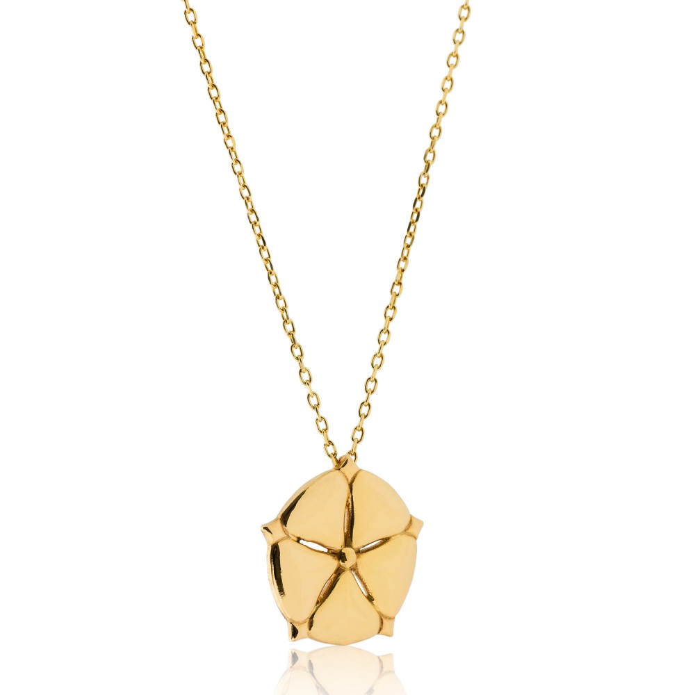 ANTHOS - NECKLACE _ s925 Yellow Gold colour
