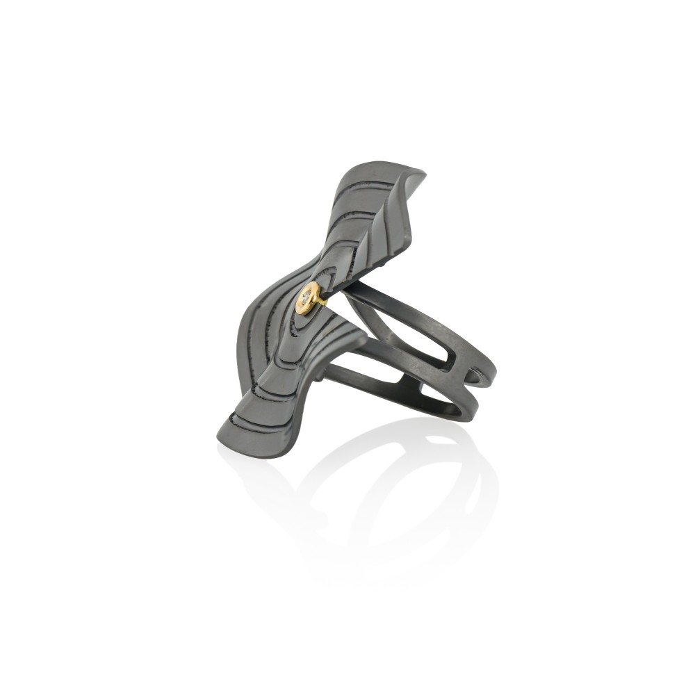 CHOROCHRONOS - 18K GOLD, TITANIUM AND DIAMOND RING _LM1 grey