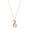IPPOKAMPOS NECKLACE 2 _ LM Rose Gold colour  