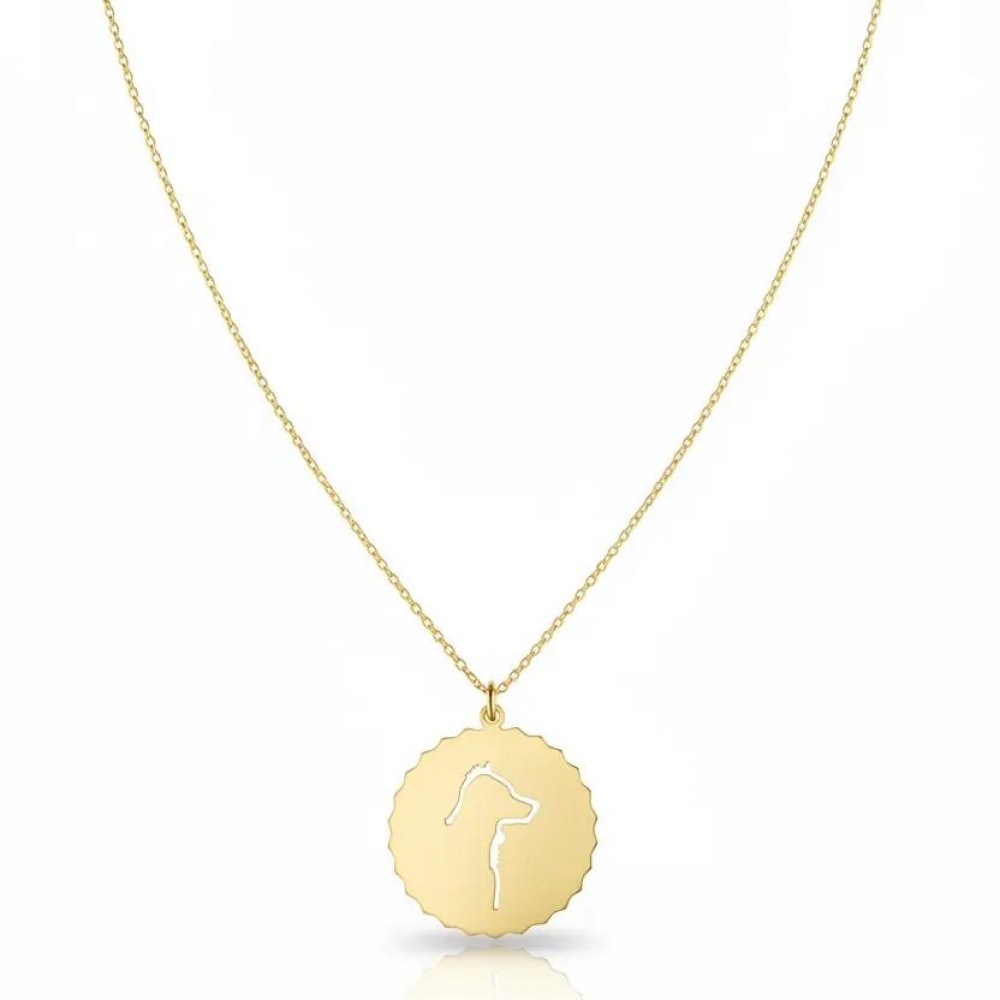 LUCKY COIN D - APPLIED SELFLESSNESS - NECKLACE