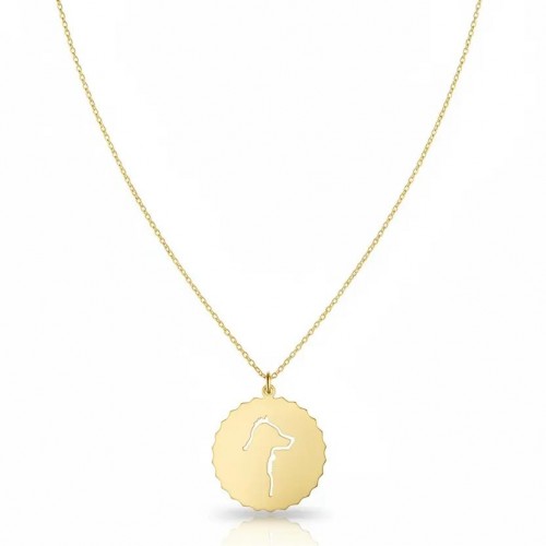 LUCKY COIN D - APPLIED SELFLESSNESS - NECKLACE